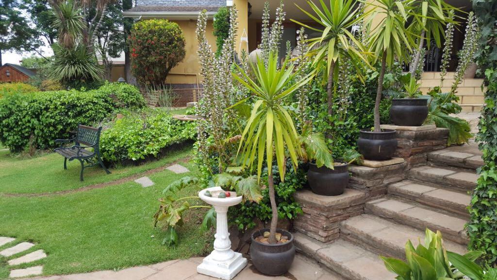Villa MikaMora Johannesburg Eksteriør billede