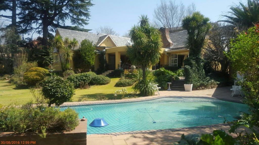 Villa MikaMora Johannesburg Eksteriør billede